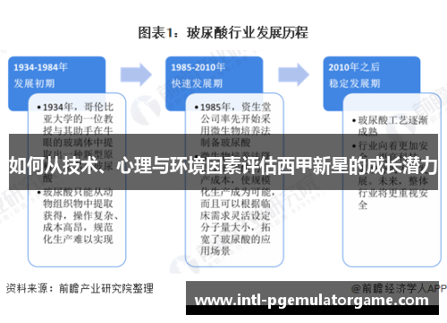 如何从技术、心理与环境因素评估西甲新星的成长潜力