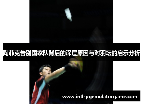 陶菲克告别国家队背后的深层原因与对羽坛的启示分析 陶菲克告别国家队背后的深层原因与对羽坛的启示分析
