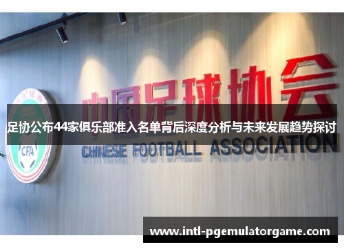 足协公布44家俱乐部准入名单背后深度分析与未来发展趋势探讨
