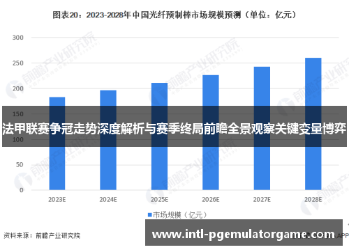 法甲联赛争冠走势深度解析与赛季终局前瞻全景观察关键变量博弈