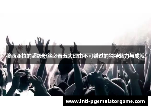 穆西亚拉的超级粉丝必看五大理由不可错过的独特魅力与成就